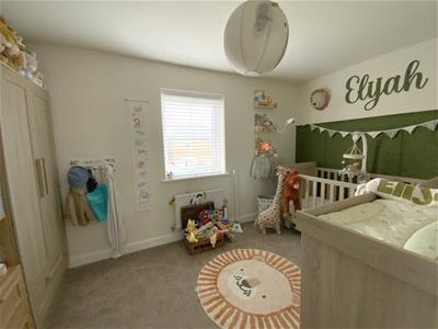Picture 13